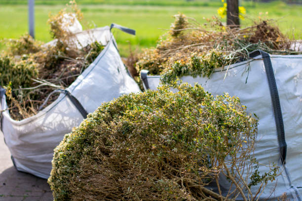 Best Same-Day Junk Removal  in Grosse Pointe, MI